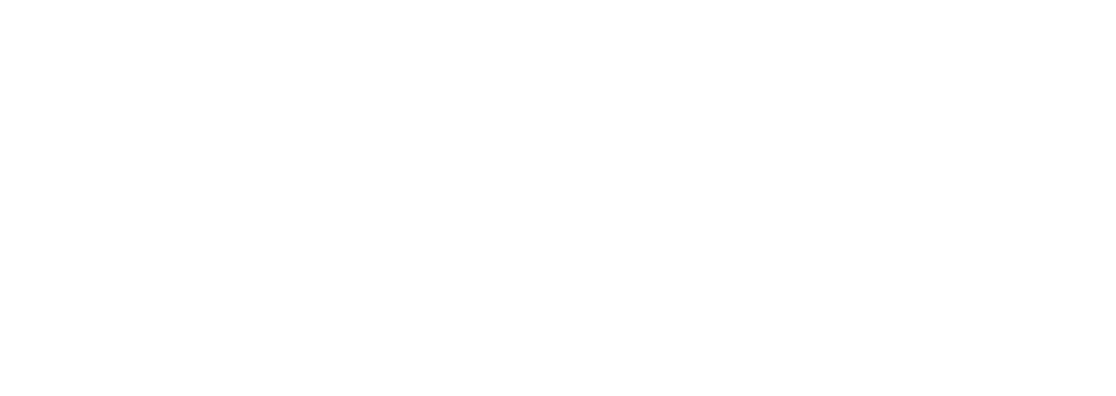 BRUSHBUCKLERS